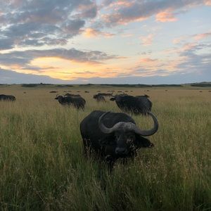 Meet your Posher, Katherine